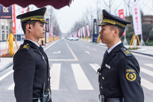 安保与巡逻服务